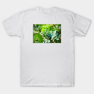 Chameleon / Swiss Artwork Photography T-Shirt